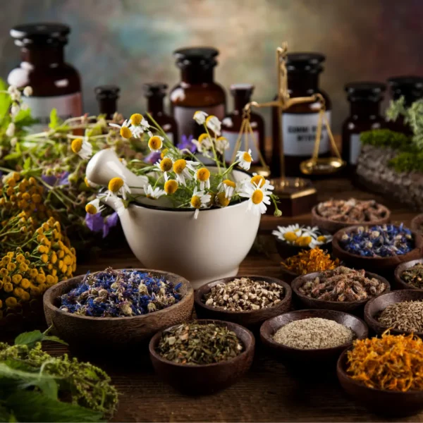 Integratív gyógyászat 6. félév